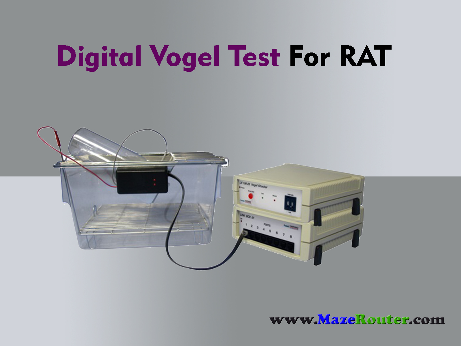 Digital Vogel Test Digital Vogel Test