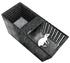 conditioned place preference conditioned place preference - cpp