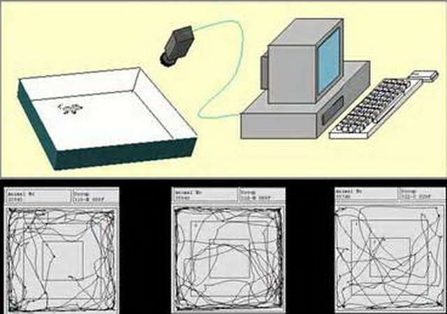 open field test open field test